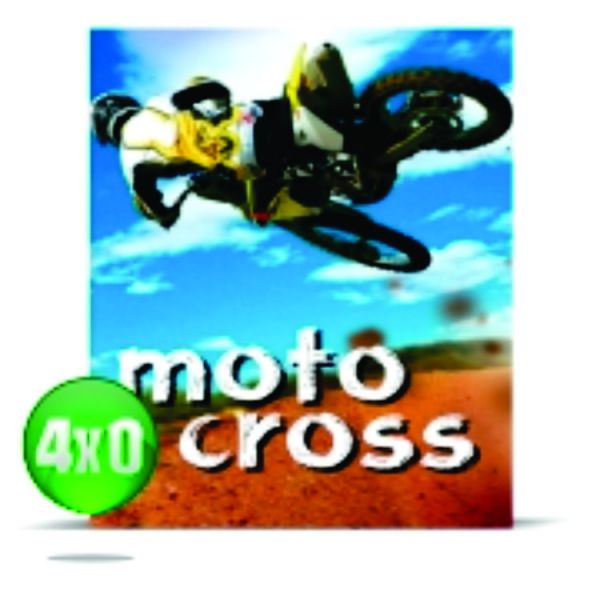 50 Cartazes 29x40 4x0 115g