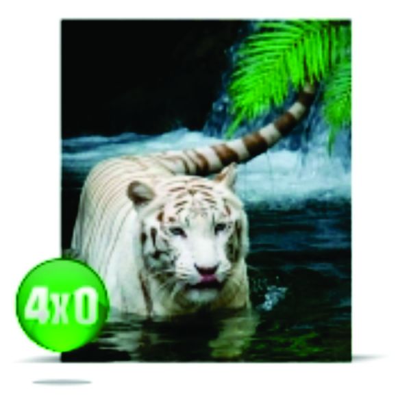 500 Cartazes 41x61 4x0 115g