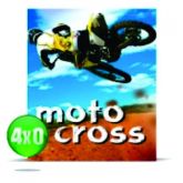 50 Cartazes 29x40 4x0 115g